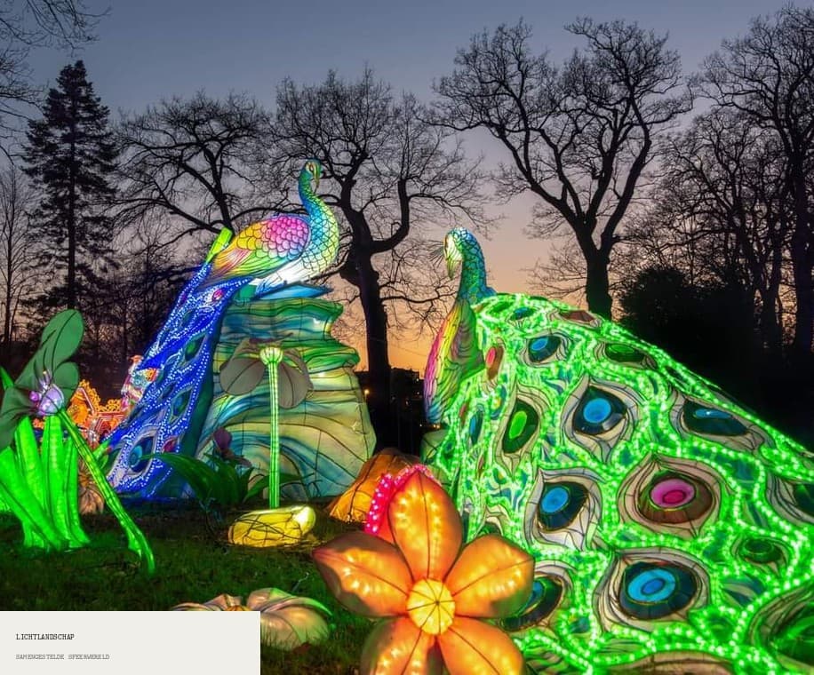 Lichtlandschap met pauwen