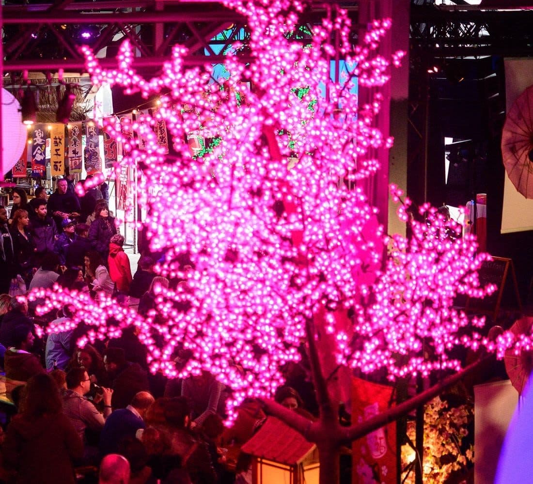 LED Cherry Blossom boom