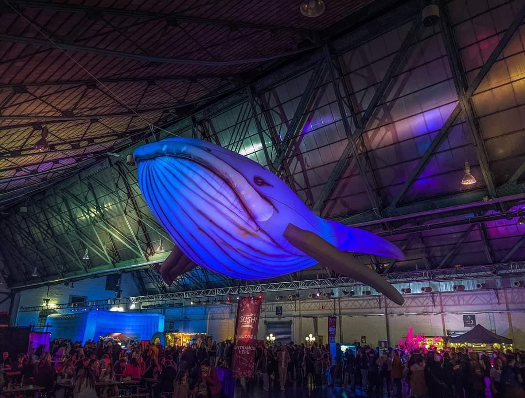 LED Walvis — foto 1