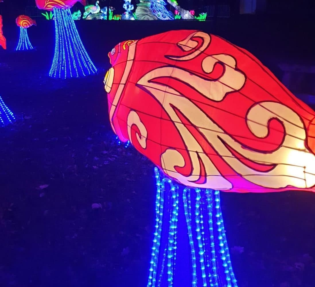 Lichtgevende Karpers