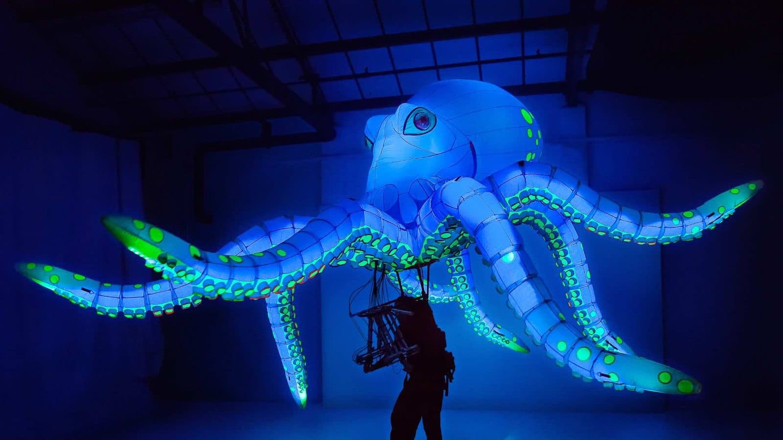 Octopus LED — foto 1